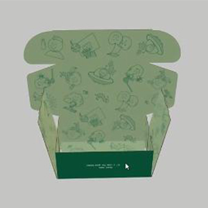 Biodegradable Custom Printed Paper Box