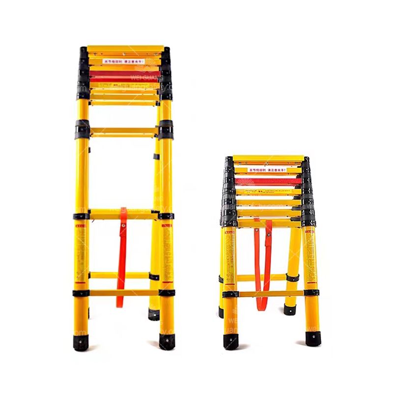 Double Telescopic Ladder