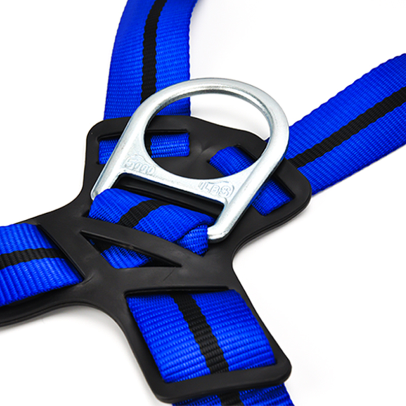 Fall Protection Harness