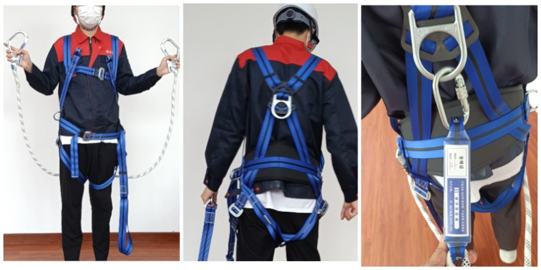 Fall Protection Harness