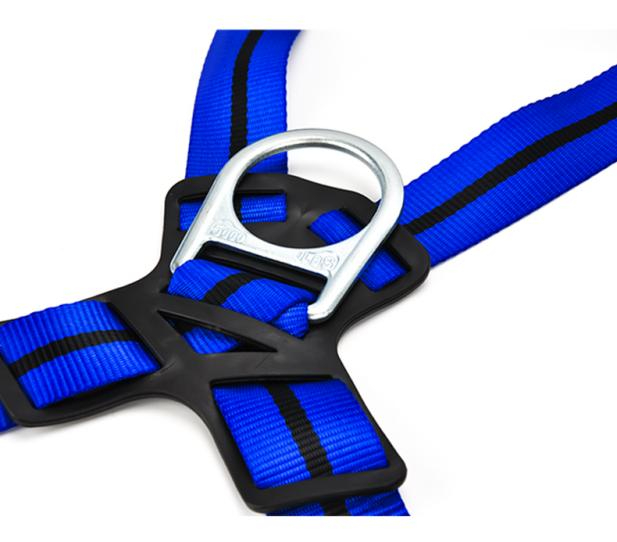 Fall Protection Harness