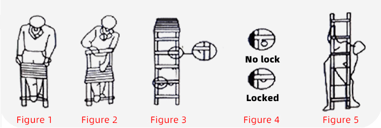 Double-sided Telescopic Ladder