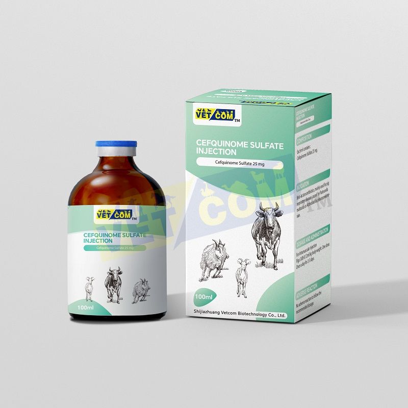 Cefquinome Sulfate Injection
