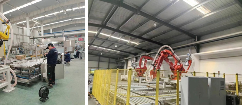 250S automatic packing, robot palletizing equipment technical solution