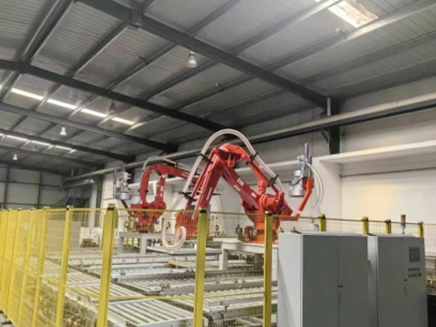 250S automatic packing, robot palletizing equipment technical solution