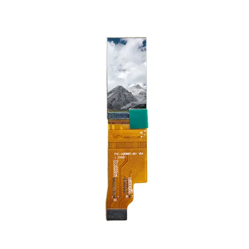 10-inch OLED display screen