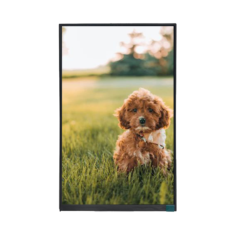TFT LCD Module