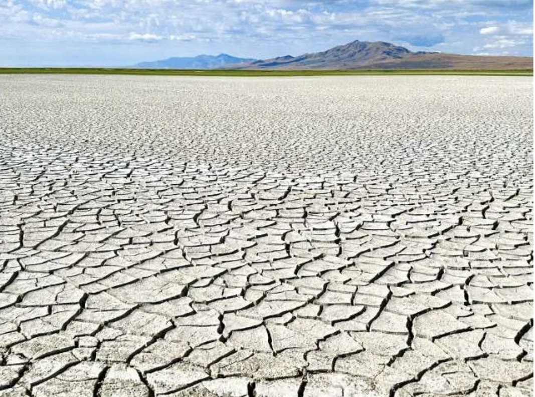 Study urges cutting irrigation to preserve Great Salt Lake's future