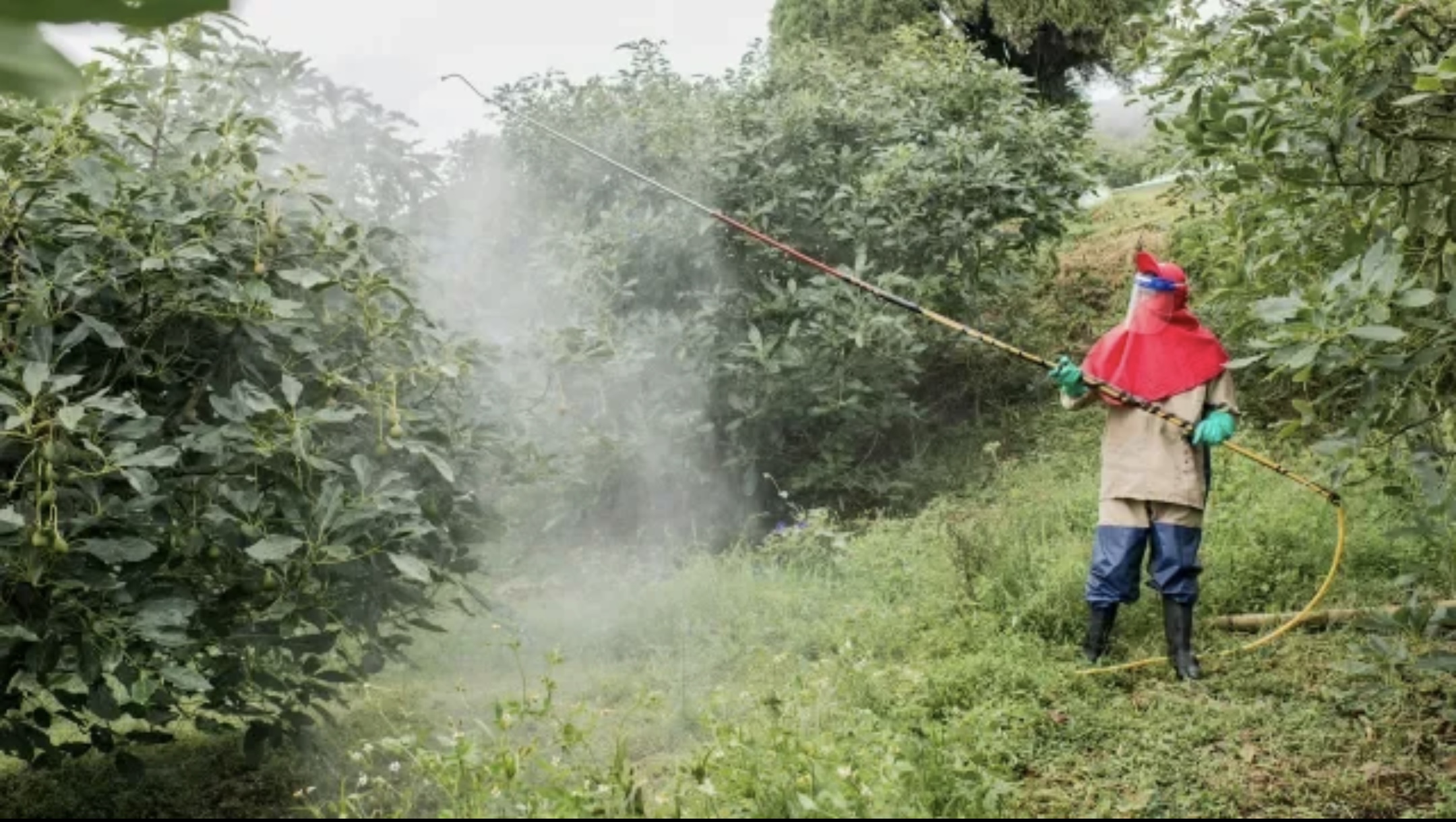 Government alters future of agriculture industry with ban on common farm chemical: 'Our food supply is so dependent on them'