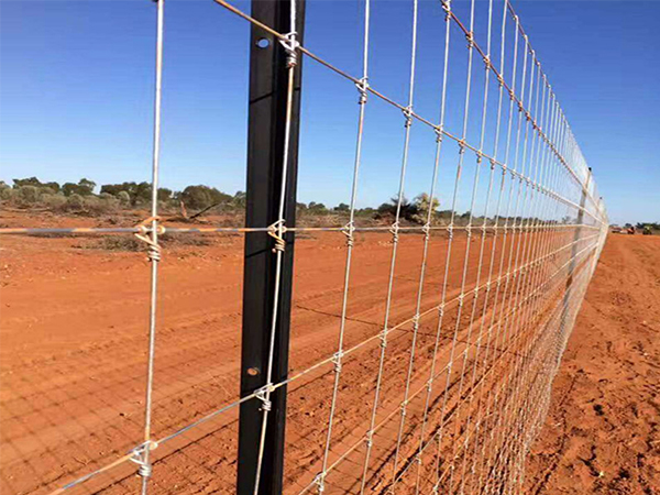 How to install a fixed knot wire fence?