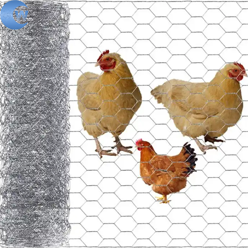 hexagonal galvanized chicken wire mesh/1/2 inch hexagonal wire mesh