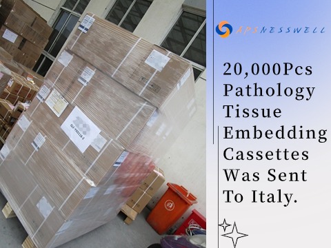 Repurchase by regular customer --- 20,000Pcs pathology tissue embedding cassettes was sent to Italy.