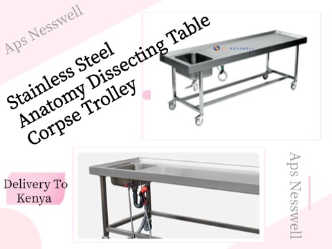 Stainless Steel  Anatomy Dissecting Table Corpse Trolley - Delivery To Kenya 