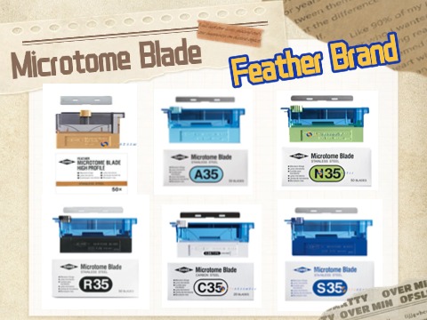 Feather Histology Microtome Blades: Precision Cutting For Laboratory Excellence
