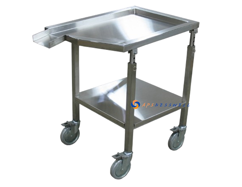 Cadaver Anatomy Dissection Table Corpse Cart