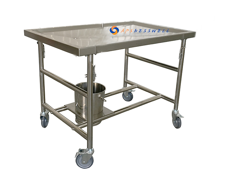 Veterinary Operating Table Morgue Dissecting Table