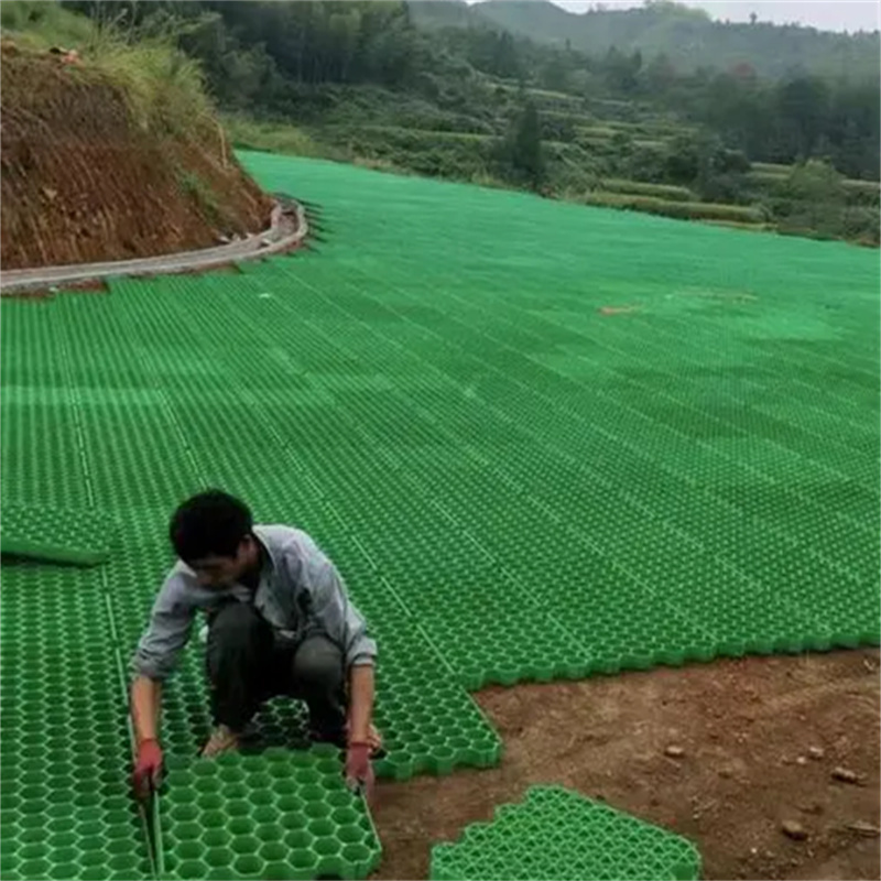 Grass Grid