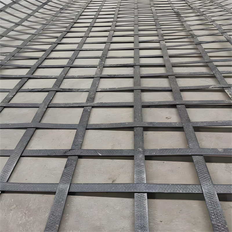 Geogrid