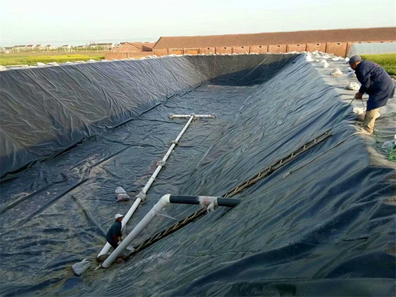 Geomembrane Pond