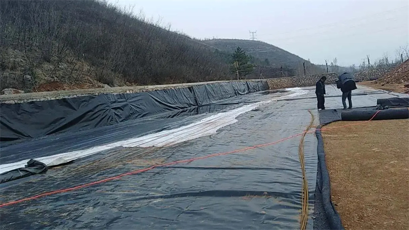 Geomembranes and lining systems