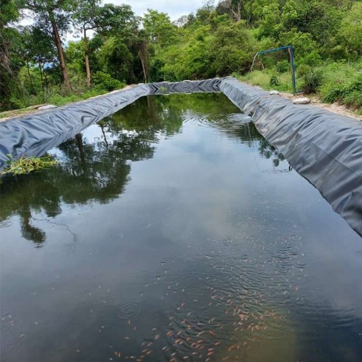 Smooth Geomembrane HDPE Liner