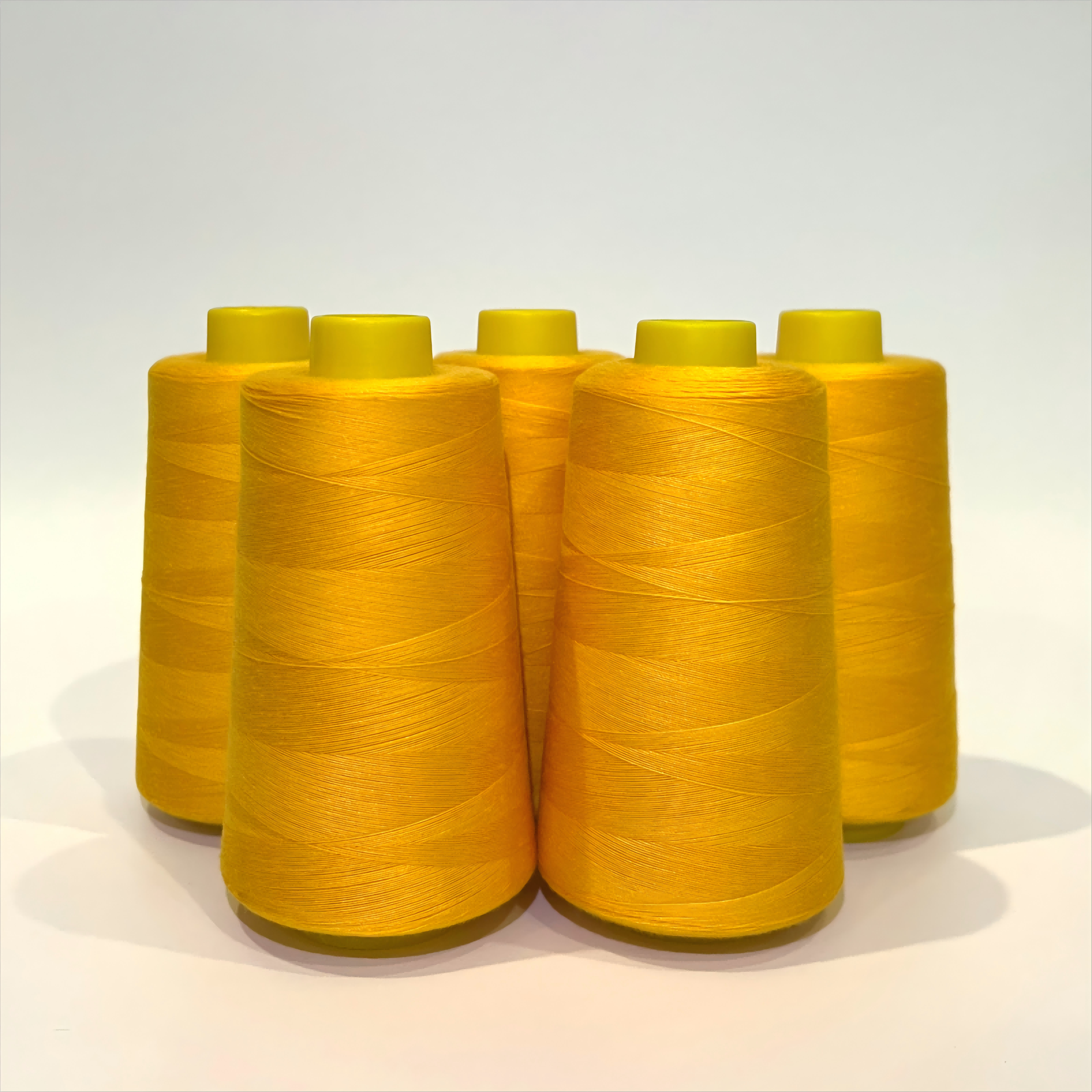 40S/2 100% Polyester Sewing Thread