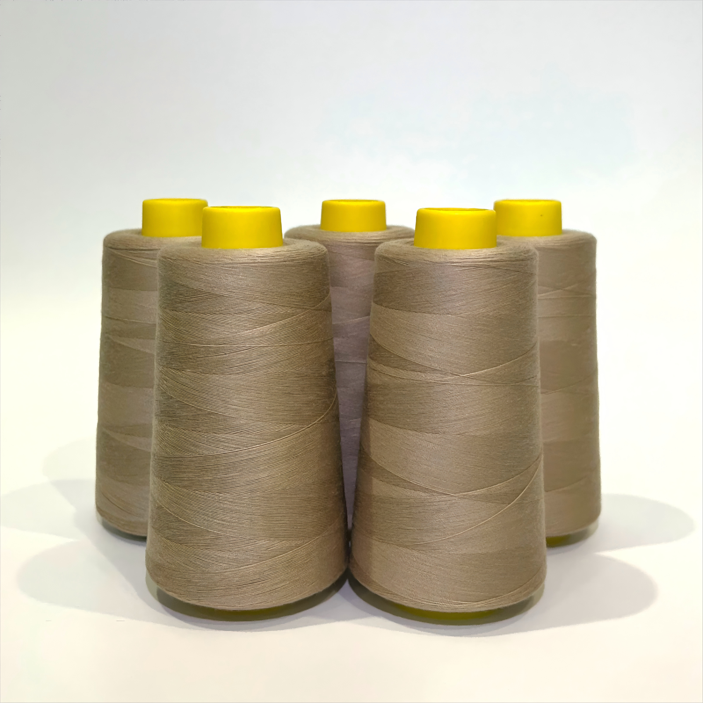 Thread 23 20S/3 100% Polyester Sewing Thread