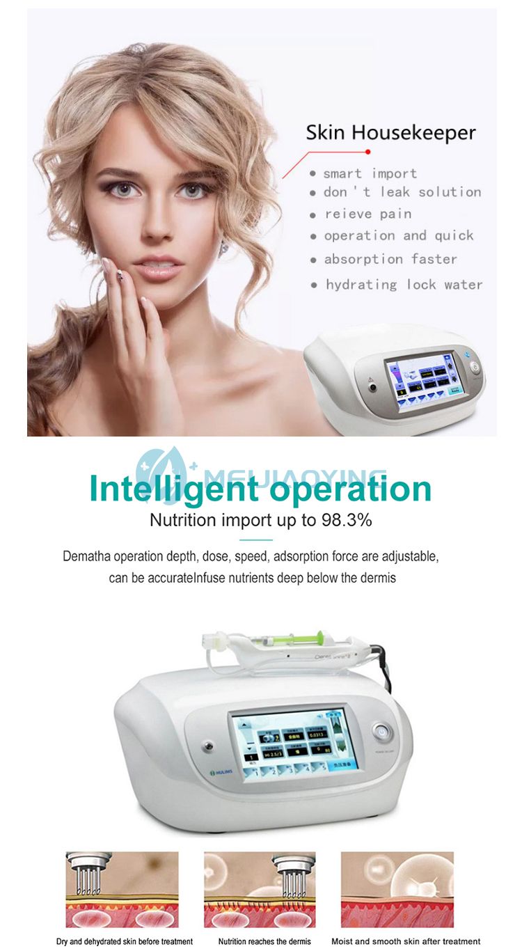 Derma Pro Wrinkle Removal Mesotherapy Injector Gun
