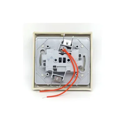 Q300 Grand panneau de prise d'interrupteur mural européen et interrupteur à bouton-poussoir unique avec 2 ports USB 250 V ~