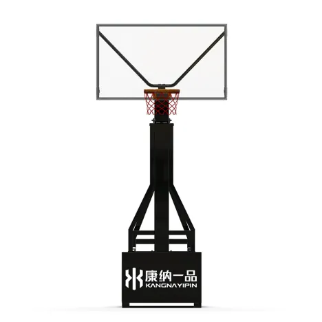 Profi-Basketballkorb