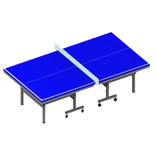 Indoor Table Tennis