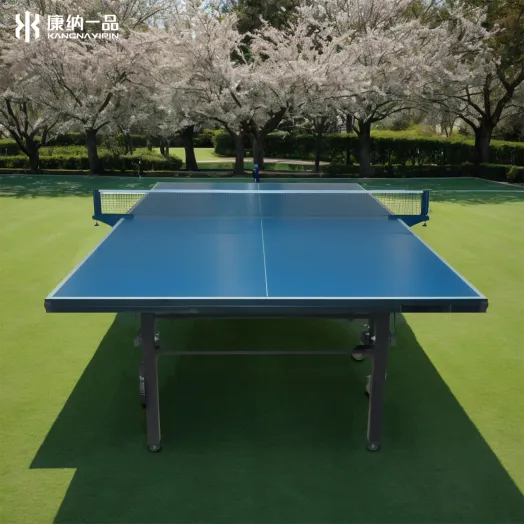 High-Quality Wholesale Indoor Table Tennis Table for Schools, Clubs, and Training Centers