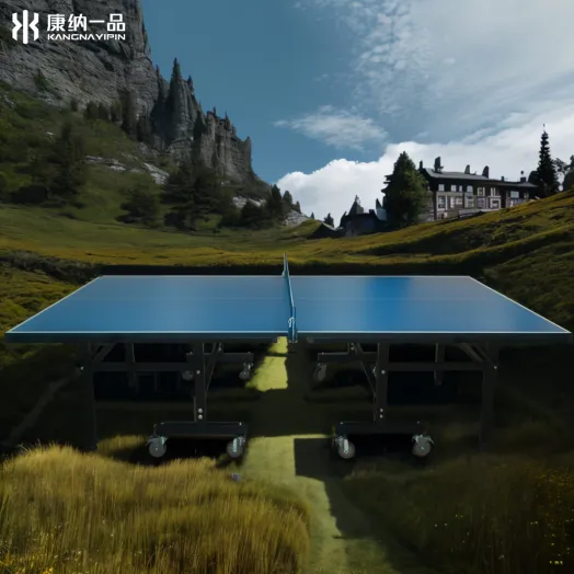 High-Quality Wholesale Indoor Table Tennis Table for Schools, Clubs, and Training Centers