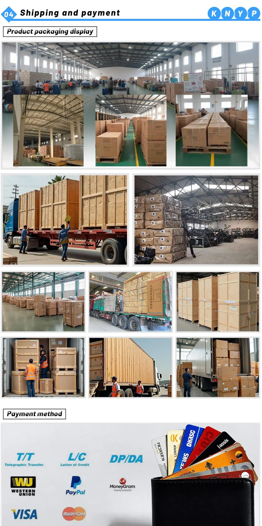 High-Quality Wholesale Indoor Table Tennis Table for Schools, Clubs, and Training Centers