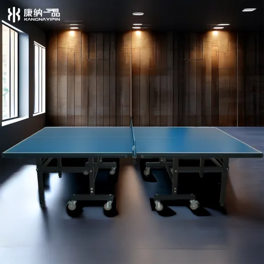 High-Quality Wholesale Indoor Table Tennis Table for Schools, Clubs, and Training Centers