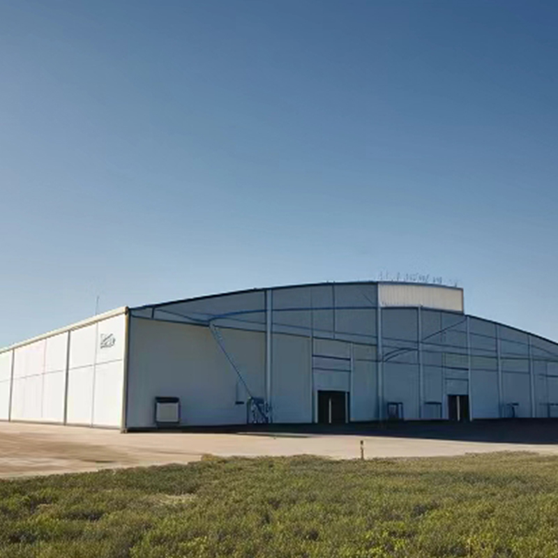 Steel Structure Warehouse and Cold Storage