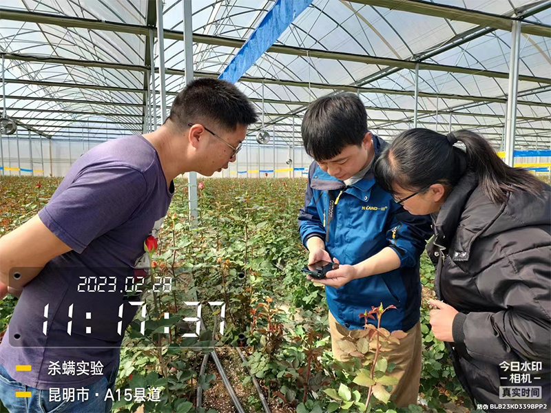 YITIAN - Pioneer in Agricultural R&D and Customer-Centric Product ...