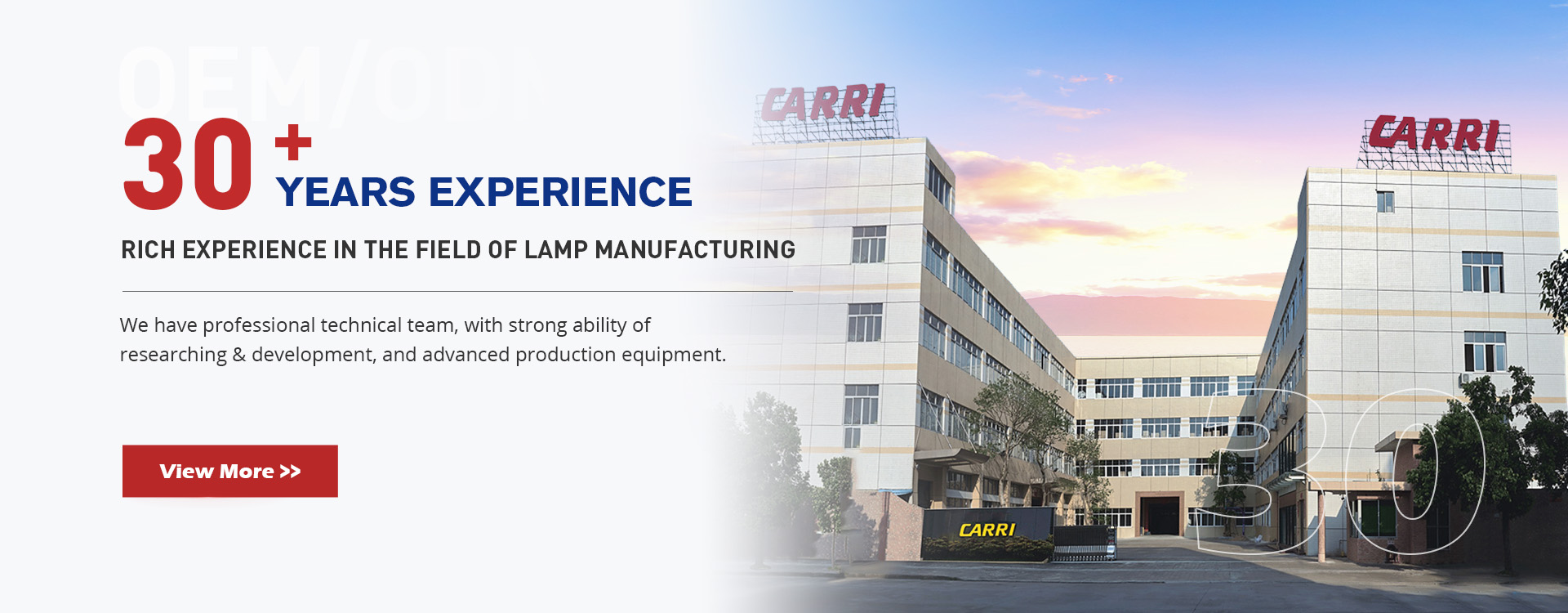 Zhognshan Carri Auto Lamp Products Co., Ltd