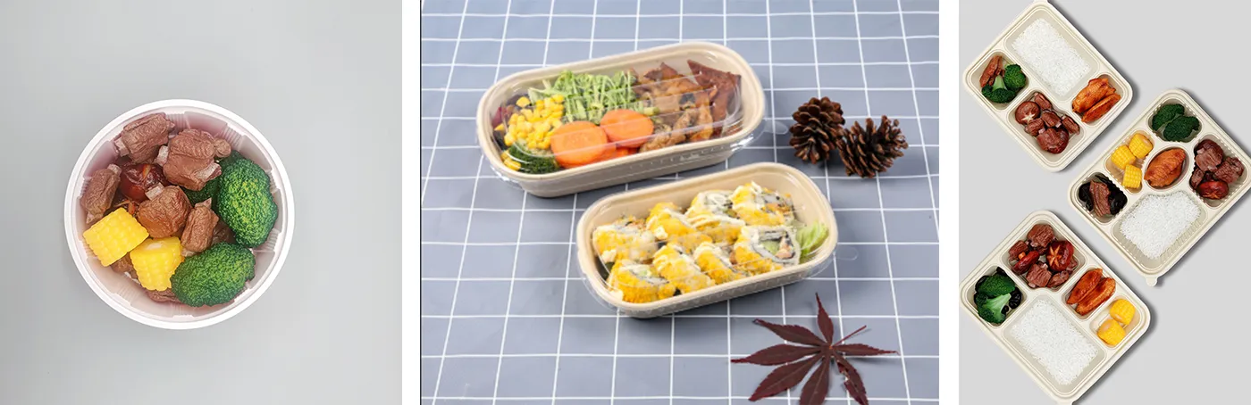 An indispensable supporting role in life: disposable lunch boxes