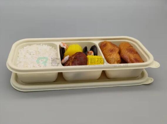 cornstarch lunch boxes