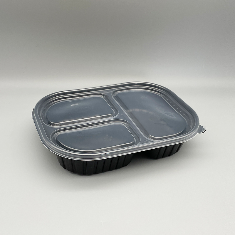 PP Lunch Box With Compartments And Lid TQ-8009