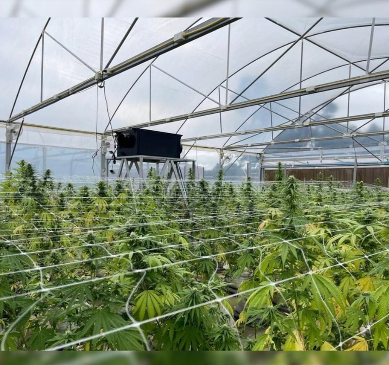 20pcs Ducted Dehumidifiers to Thailand's Cannabis Growing Rooms