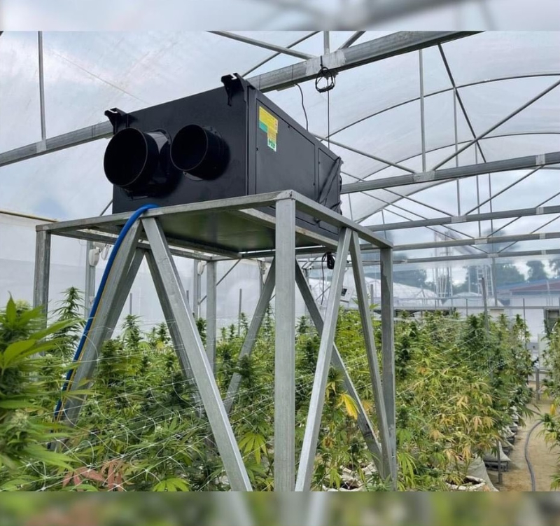 20pcs Ducted Dehumidifiers to Thailand's Cannabis Growing Rooms