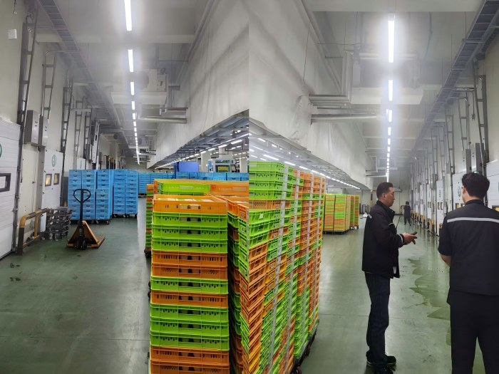 Cómo un gigante coreano de la logística de la cadena de frío resolvió los retos de condensación con cuatro deshumidificadores desecantes ATZ-3050
