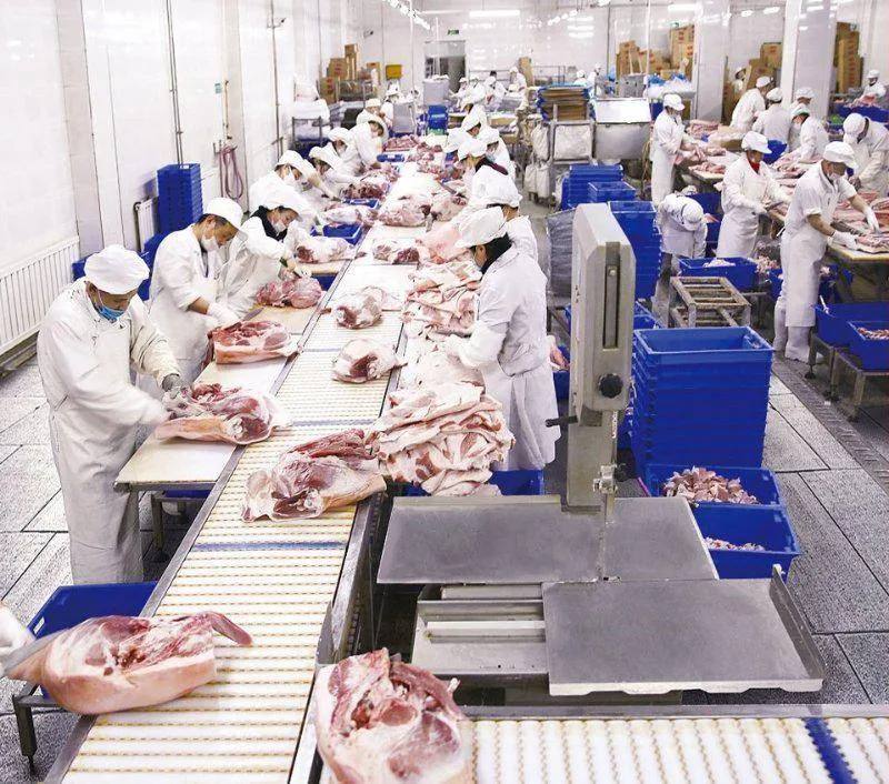 Meat Processing Plant Meat Processing Plant