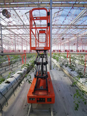 Greenhouse Picker