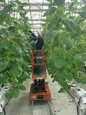 Greenhouse Picker