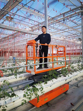 Greenhouse Picker