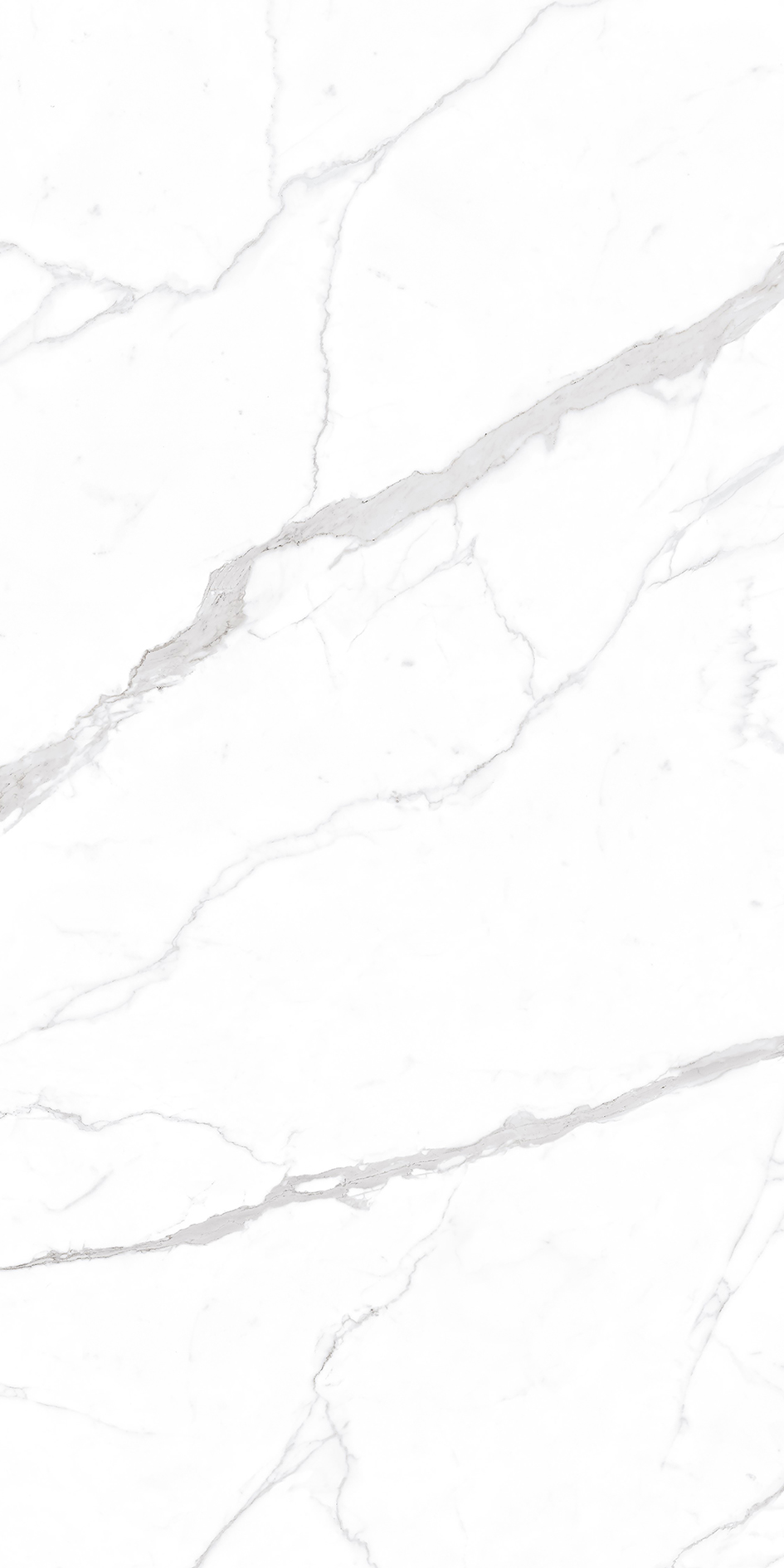 Snow White Calacatta Sintered Stone