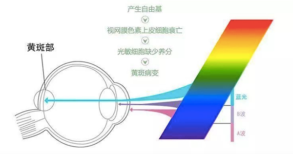 Mini-LED, Mini-LED, Display technology, Flicker evaluation